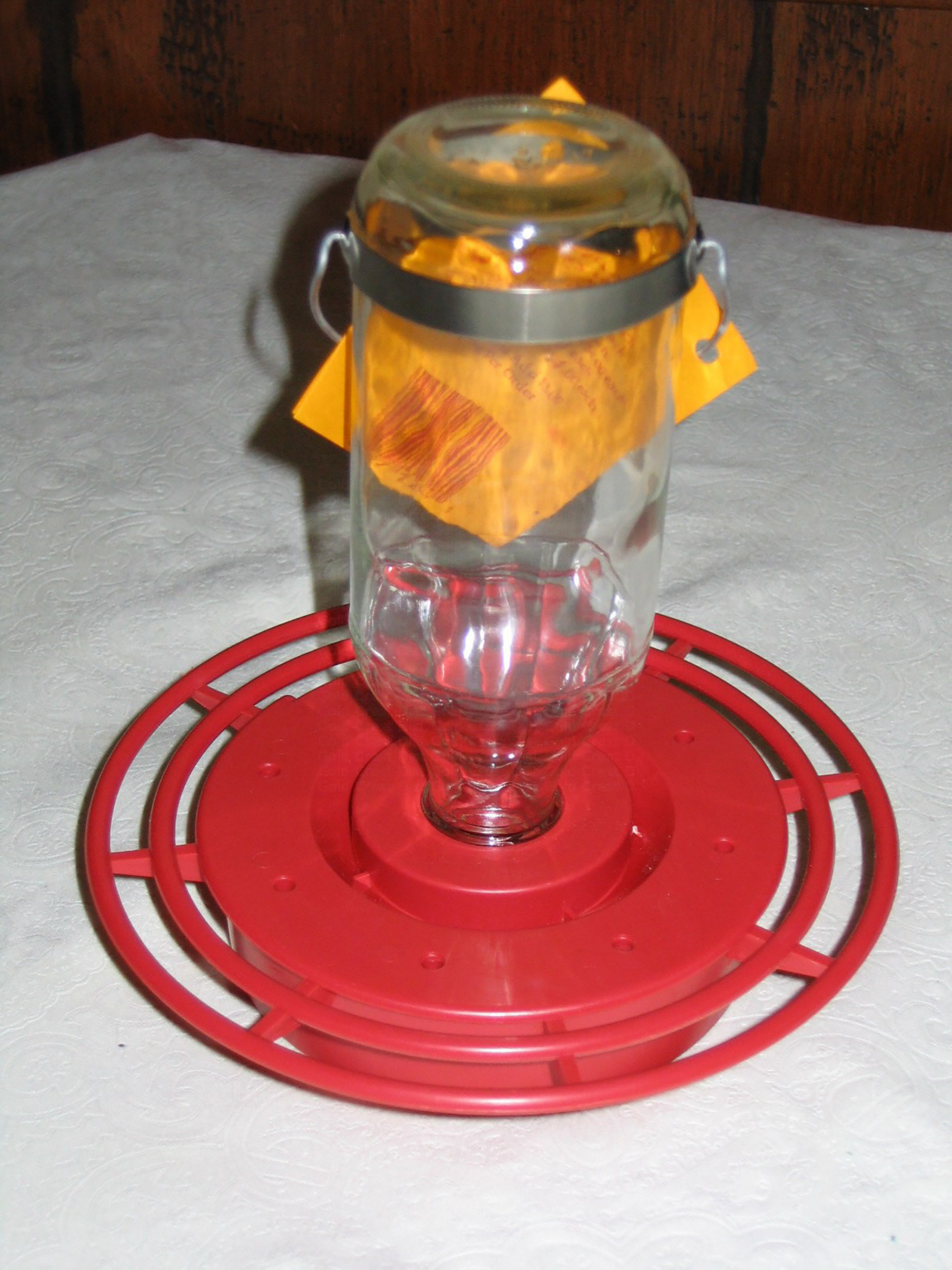 Best 1 Bulk Hummingbird Feeder Reviews Wayfair