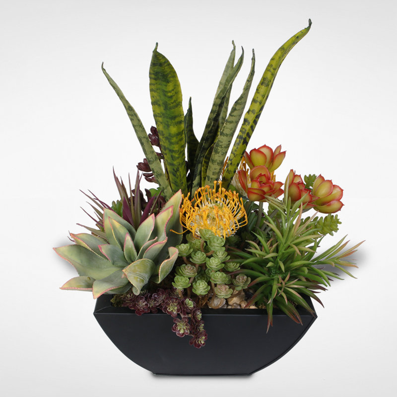 Brayden Studio Decorative Snake Plant Succulent in Planter