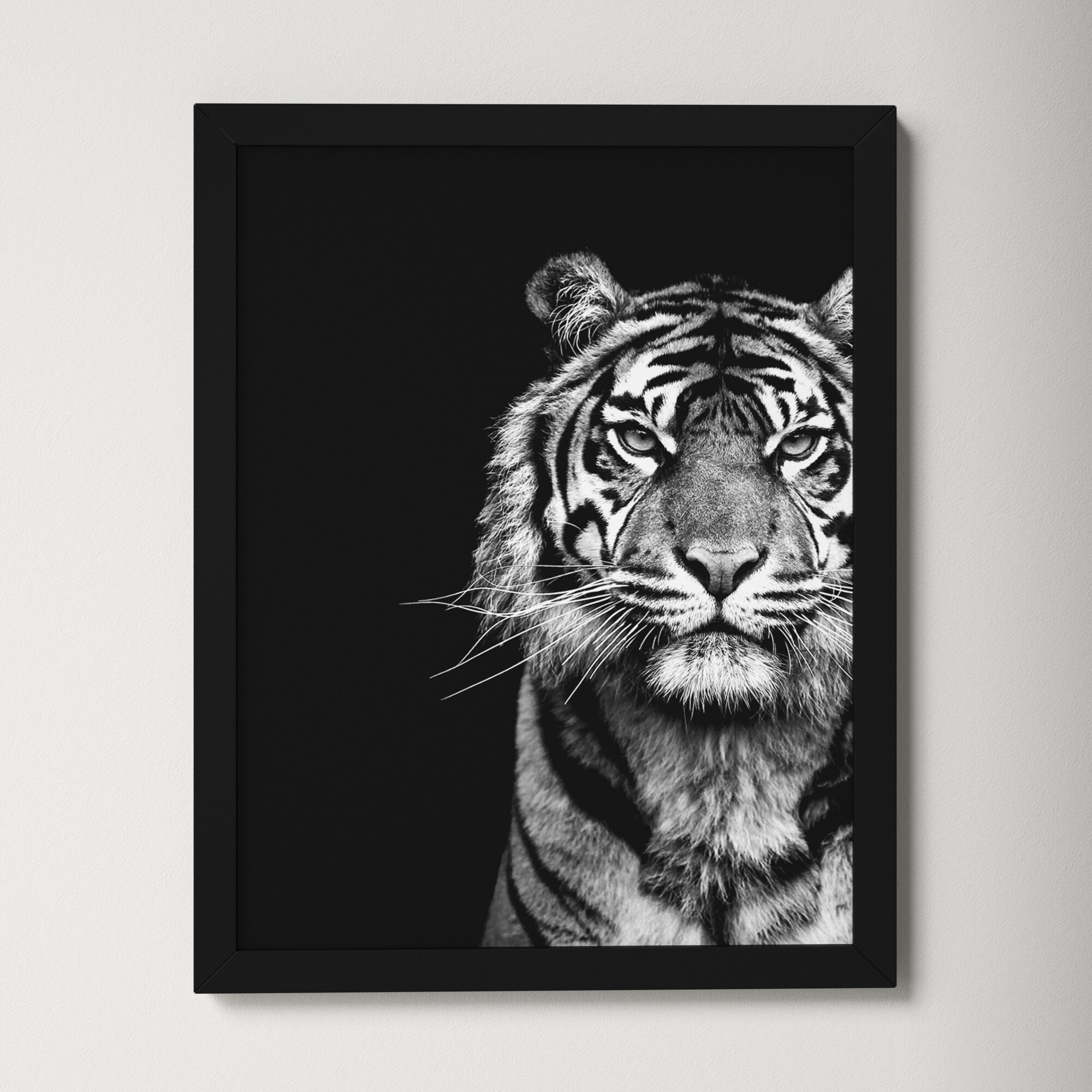 monochromatic animal paintings