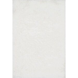 Orian Shag Hand-Tufted White Area Rug