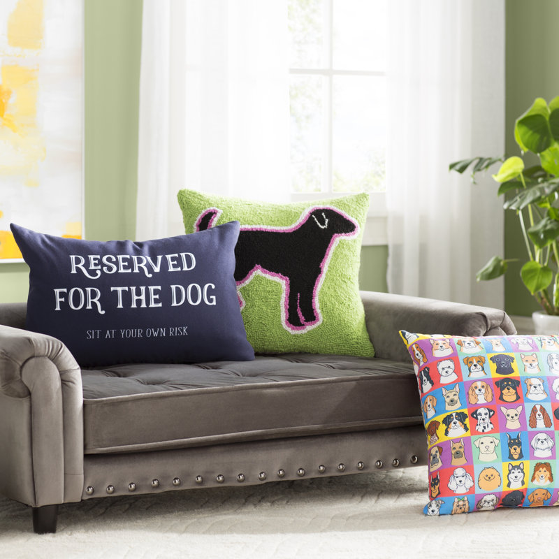 couch throw for dogs