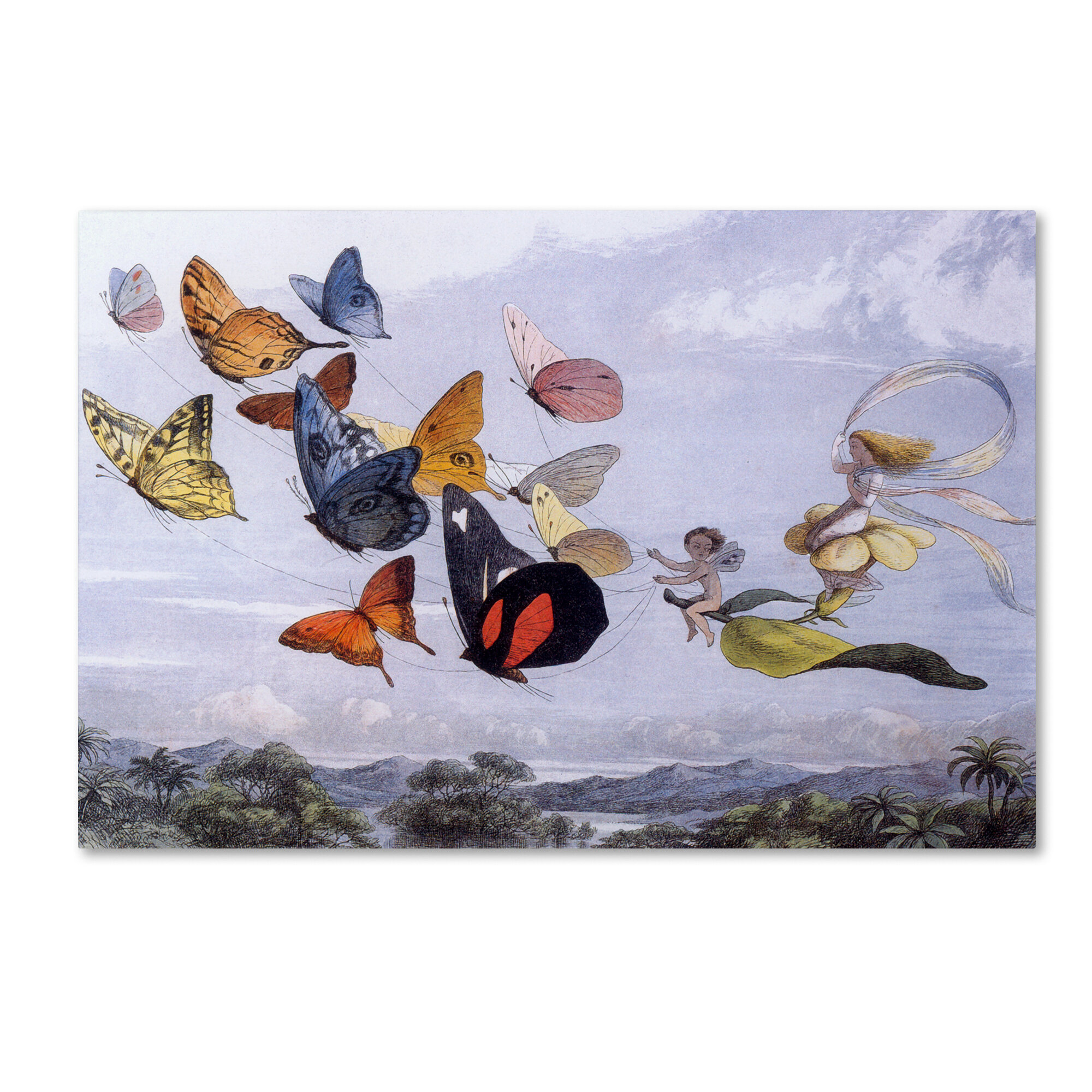 Trademark Art Fairy Butterflies 1 Wall Art On Wrapped Canvas Wayfair