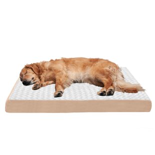 comfy pet bed bench