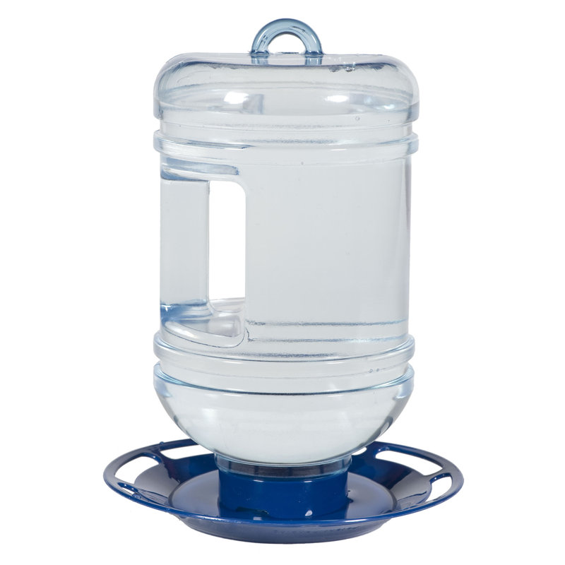 Perky Pet Water Cooler Hummingbird Feeder Reviews Wayfair