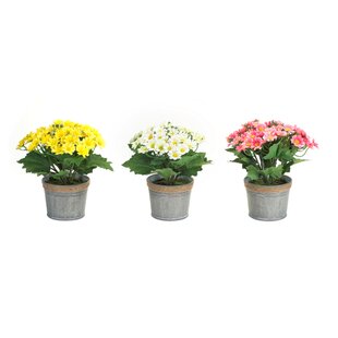 Springtime Artificial Forsythia Bushes For Indoor or Outdoor Use Garden or Any Room in Home Bunch Together or Separate Plants Set of 3 Realistic Touch Faux Shrubs