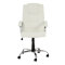 High-Back Executive Chair with Lumbar Support