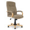 Managers High-Back Executive Chair with Lumbar Support