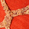 Bliss Hand-Woven Wool Red Rug