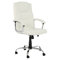 High-Back Executive Chair with Lumbar Support