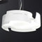 Design-Pendelleuchte 1-flammig Vulture