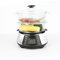 NaturoPure Steamer