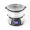 NaturoPure Steamer