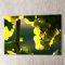 Grapes Photographic Print on Canvas