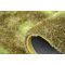 Green Area Rug