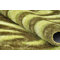 Green Area Rug