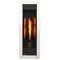 Napoleon The Torch Direct Vent Wall Mount Gas Fireplace ...