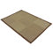 Plano Natural Area Rug
