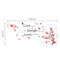 Flower Blossom with Butterflies and Quote Live Laugh Love Wall Sticker