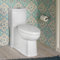 Boulevard Siphonic Dual Flush Elongated One-Piece Toilet