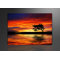 Sun Photographic Print on Canvas