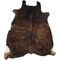 Kingfisher Brown Area Rug