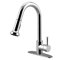 Harrison Single Handle Pull-Down Spray Kitchen Faucet with Deck Plate