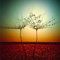 Fire and Water by Dimitar Lazarov-Dim Photographic Print on Glass