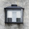 Ceres-2 2 Light Outdoor Flush Mount