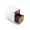 Format 2-Drawer Mobile File
