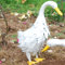 Statue Standing Goose