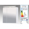Ringler 70cm x 75cm Surface Mount Mirror Cabinet
