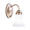 1-Light Wall Sconce