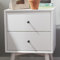 Parocela 2 Drawer Nightstand