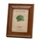 Eco Woods Jackson Picture Frame