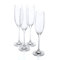 Tuscany Classics 6.5 Oz. Champagne Flute