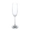 Tuscany Classics 6.5 Oz. Champagne Flute