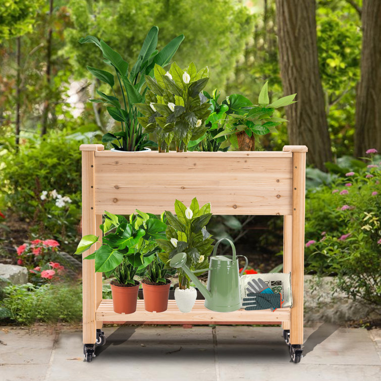 Arlmont &amp; Co. Raised Garden Bed, Outdoor Wood Elevated