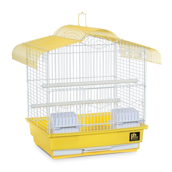 cage with bird