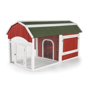 Chicken Coops Youll Love In 2019 Wayfairca