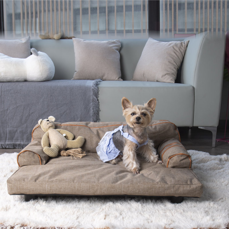wayfair dog sofa