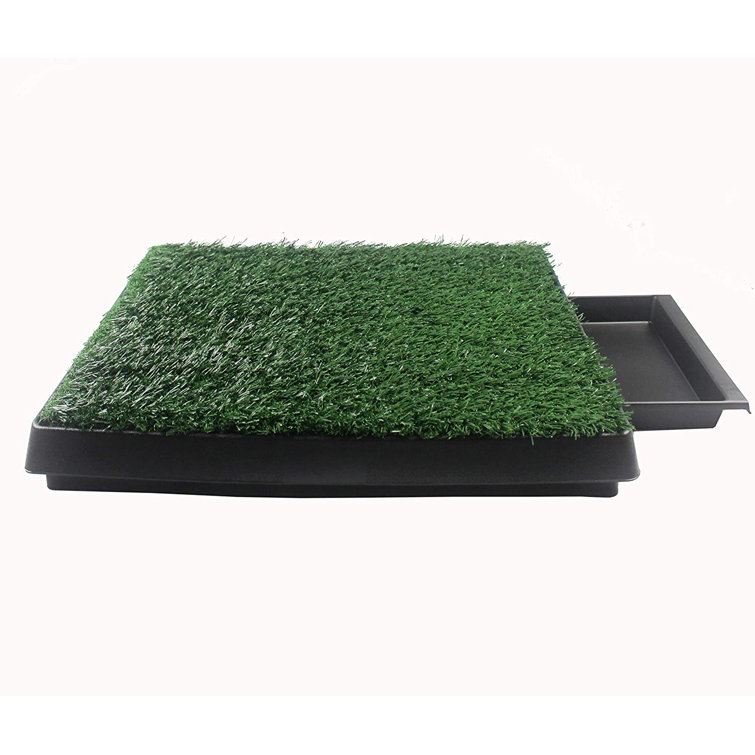 outdoor pet potty grass