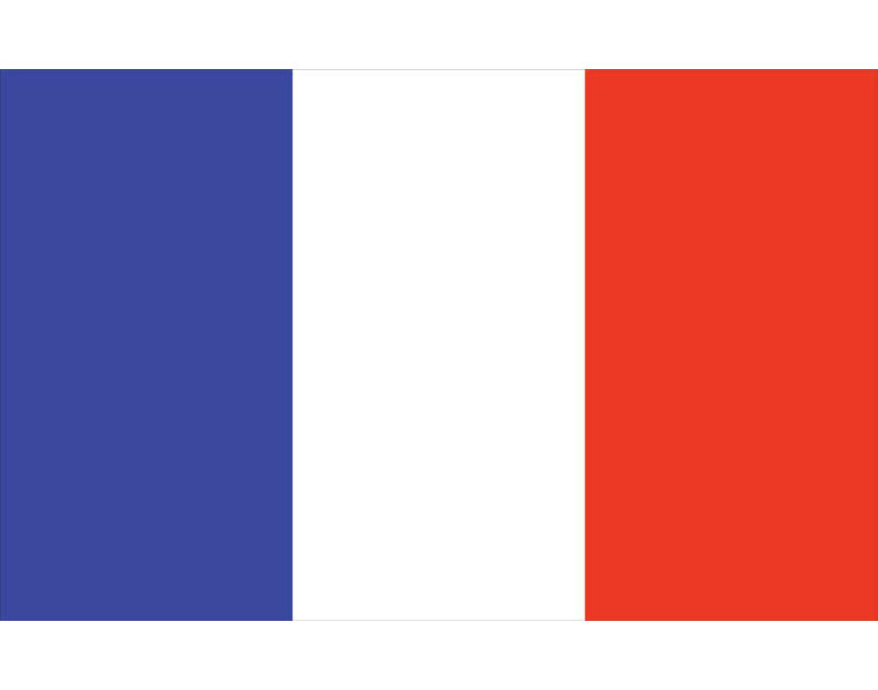 U S Flag Store France World Nylon 36 X 60 In House Flag Wayfair