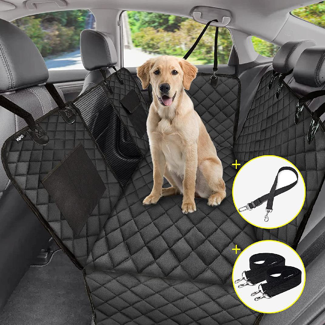 window protector for dogs