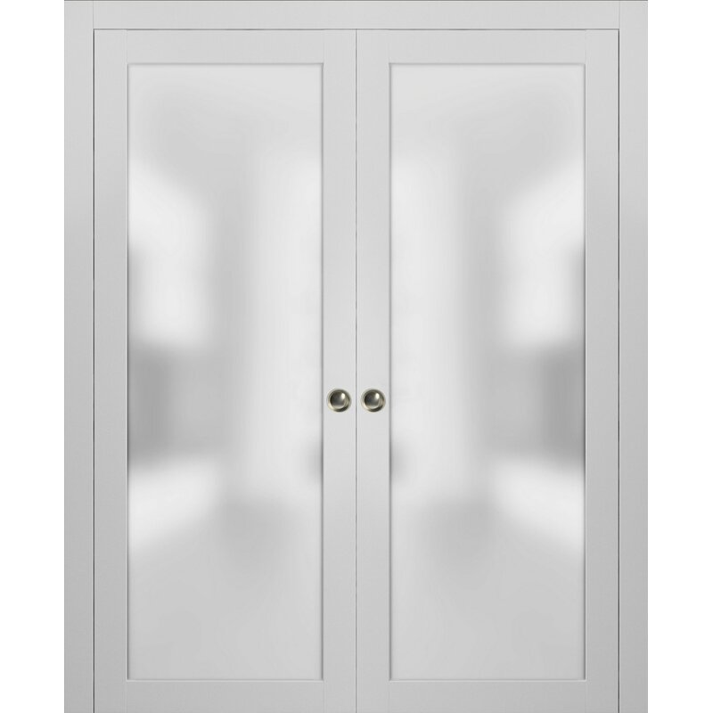 Sartodoors Planum Glass Sliding Closet Door Wayfair