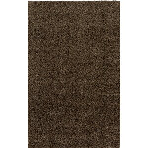 Brown Indoor/Outdoor Area Rug