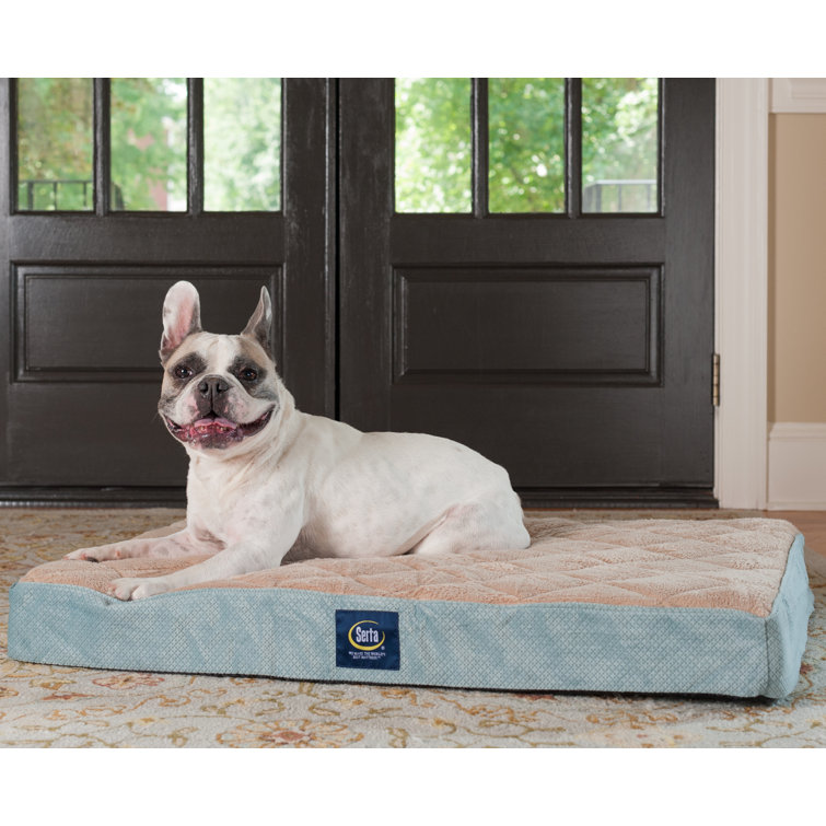 serta dog bed large