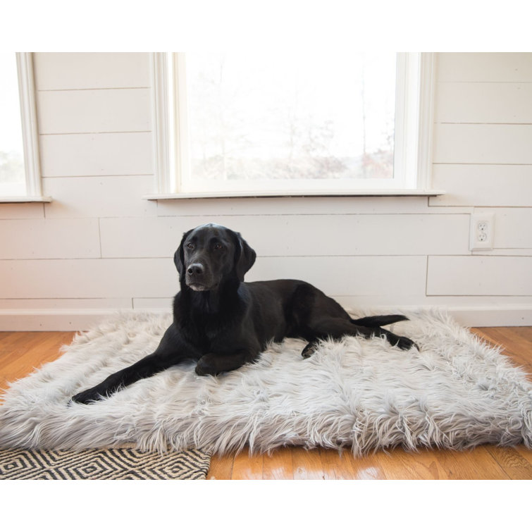 dog bed carpet