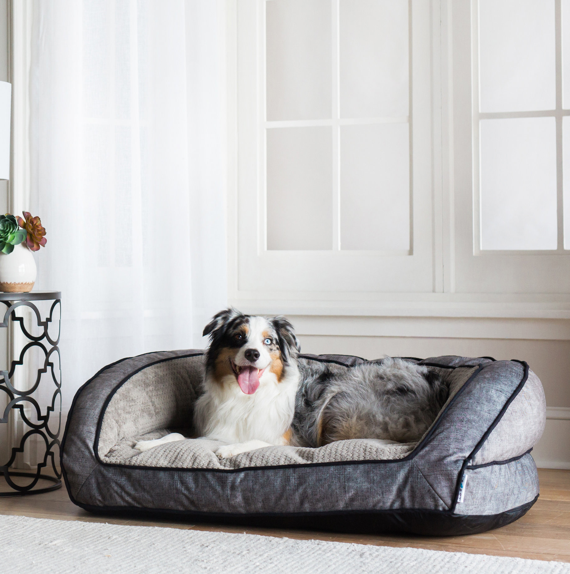 croc pet bed