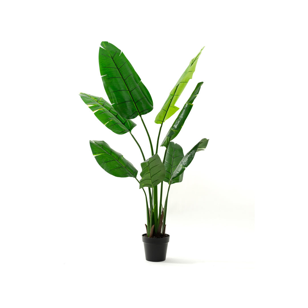 BIRCHCITY 60" Artificial Palm Plant Faux Potted Traveler's Palm Tree