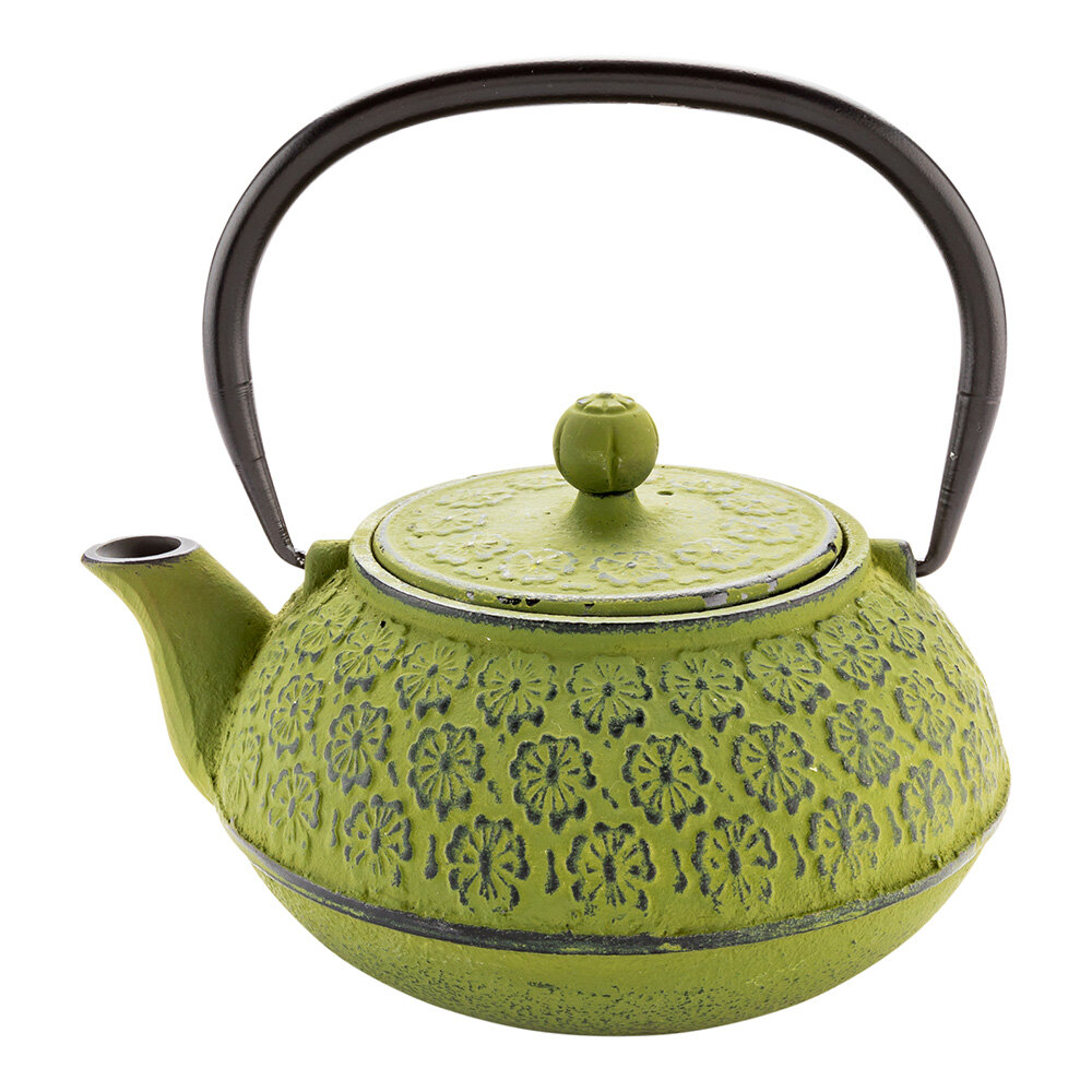 Japanese Tetsubin Cast Iron Hobnail Teapot+Trivet Tea Cup 2 Cup Set Teacup